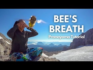 How To Do Bhramari Pranayama To Calm Anxiety - Bee's Breath