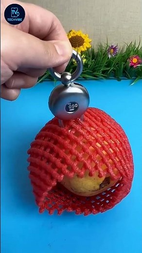 Digital Hanging Scale Review | Portable 25 KG Weight Measuring Device | TechVibe Gadgets