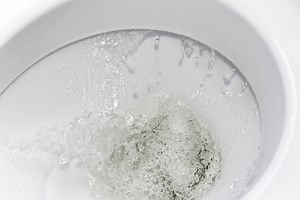 Why Does My Toilet Flush Slow? (Possible Causes & Fixes)