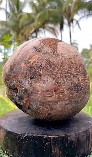 coconut cutting 🥥🌴#coconutwater #asmr #fyp #satisfying #unitedkingdom🇬🇧❤️