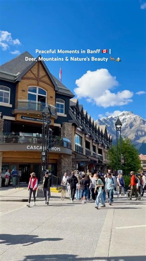 BANFF SUMMER MAGIC ✨ | Deer Encounters & Stunning Mountain Views 🇨🇦