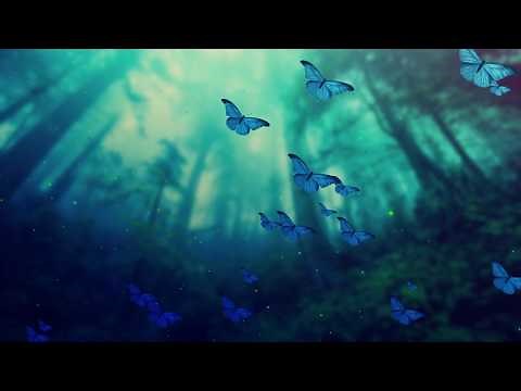 Fantasy Butterfly Garden. Relaxing Butterfly Background.