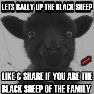 8.3M views · 6.9K reactions | If you or a loved one suffer from substance abuse, message us. We can help! | Coach Tim | Facebook