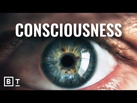 Is consciousness an illusion? 5 experts explain