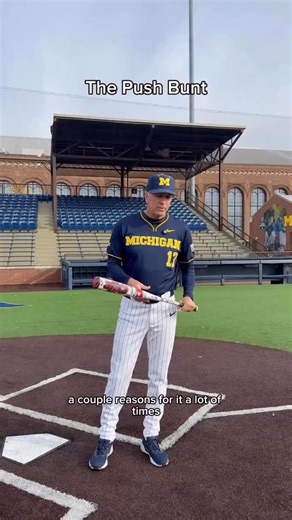 Prospect Dugout on Instagram: "🚨 YOUNG PLAYERS LISTEN UP 🚨 @michiganskip13 dropping knowledge! Let me tell you about the push bunt #baseball #collegebaseball #michigan #coach"