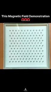 48K views · 147 reactions | A magnetic field demonstration vividly...