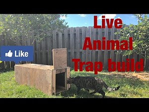 Live Animal Trap Build