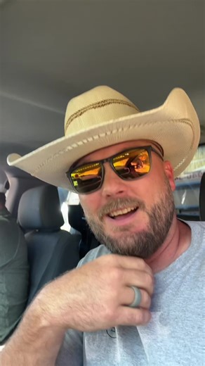 Effective Fly Spray Solutions for Cattle Farmers