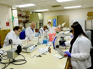 Clinical Laboratory Science