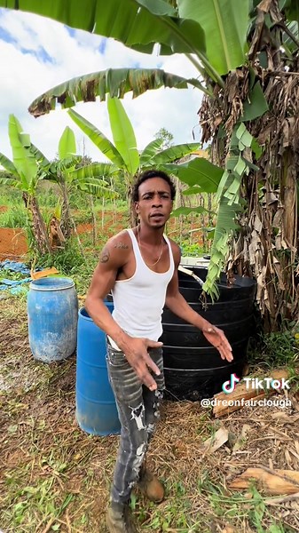 How to Grow Tilapia at Home: A Beginner's Guide