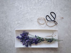 How To Prune, Harvest, And Dry Lavender