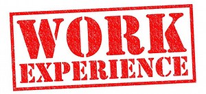 Why Work Experience Matters for Getting Employed | Human Capital Hub