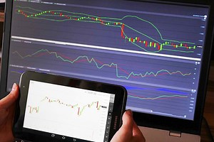 8 Best Online Forex Trading Courses of 2025