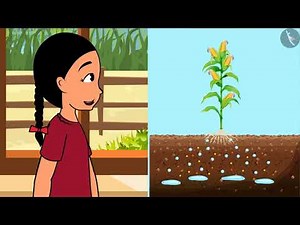 पादपों में पोषण | Part 1/3 | Nutrition In Plants | Hindi | Class 7 Science Chapter 1 | TicTacLearn