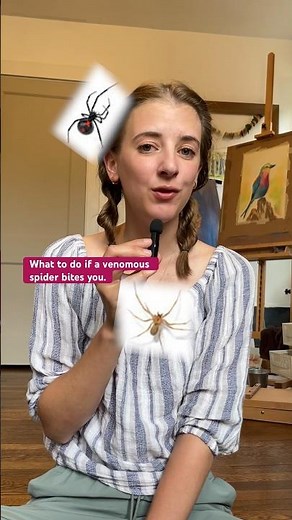 How do you treat a spider bite? Follow these first aid steps if you’re bitten by a venomous spider.