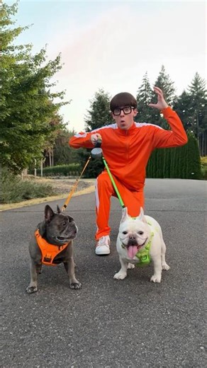 Dual Untangle Dog Leash