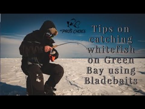 How to catch Whitefish on Green Bay using Blade baits