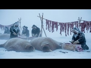 Life At –71°C Inside A Dangerous Walrus Hunt On The Icy Arctic Coast