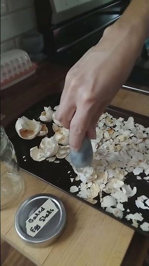 Baked Egg Shells For Your Backyard Chickens