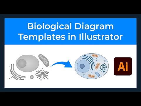 How to Draw Biological Diagrams using Adobe Illustrator Templates