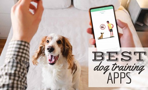 7 Best Dog Training Apps For iPhone & Android - Canine Journal