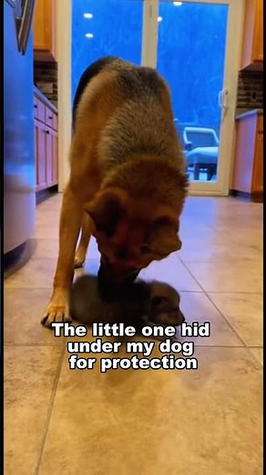 You Will Not Believe How This Story Ends 🤯