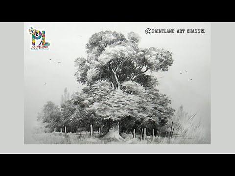 How to draw realistic tree pencil sketch and shading step by step pencil art