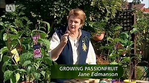 Growing Passionfruit - Gardening Australia