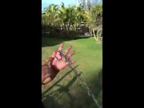 How to Make a Yarn Hawaiian Lei in Less Than Ten Minutes