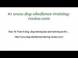 How-To Help A Male Dog Mate With A Female Dog