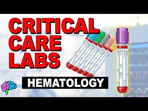 Hematology - Complete Blood Count (CBC) - Critical Care Labs