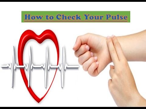 How To Check Your Pulse Rate in Easy Steps
