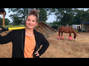 Farm MORNING ROUTINE | 60+ Animals