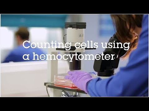 Counting cells using a hemocytometer video protocol
