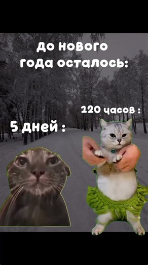 5 дней звучит получше
