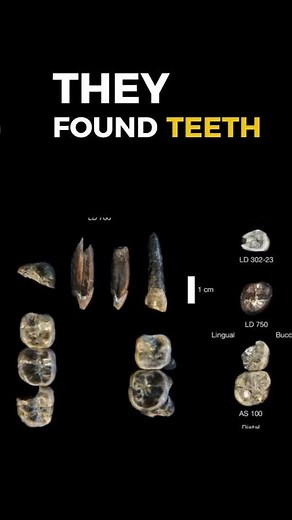 This Fossil Changes Everything