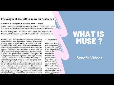 What Is A Muse ?