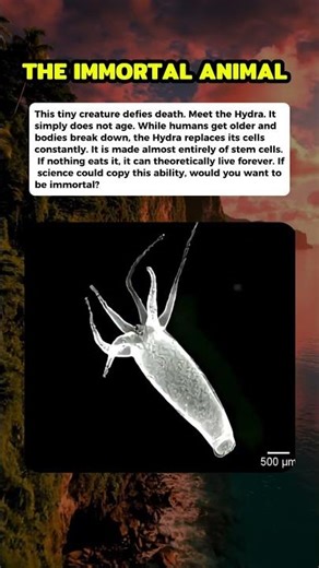 Biology broke the rules of aging with the Hydra. #curiosity #mistery