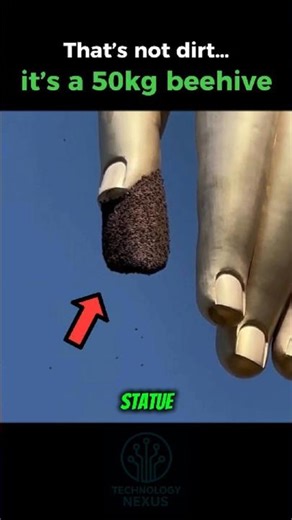 That’s not dirt… it’s a 50kg beehive. 🐝