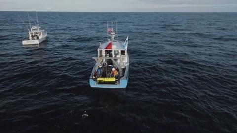 RAW VIDEO: Autonomous underwater robot sets off on five-year journey around the world to unlock the secrets of the sea