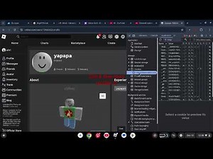 How to hack into a roblox account (IT WORKS!!)