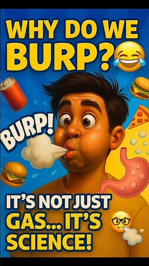 Why Do We Burp After Eating? | Fun Science Fact | Digestive System Explained