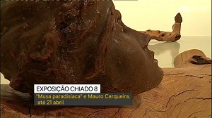 "Musa paradisiaca" está em exposição no espaço Chiado8
