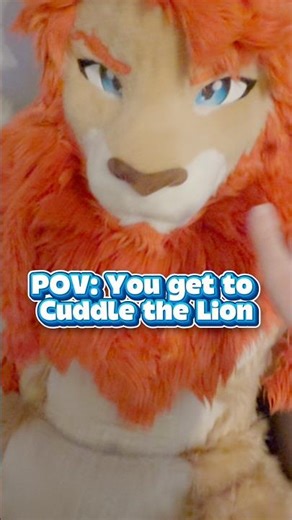 POV: You Get to Cuddle a Lion #furry #fursuit
