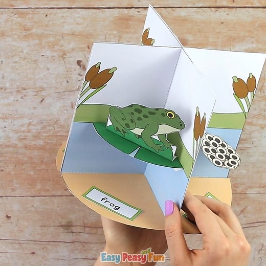 3D Frog Life Cycle Craft https://www.easypeasyandfun.com/3d-frog-life-cycle-craft/ | Easy Peasy and Fun