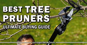 Best Tree Pruners Ultimate Buying Guide