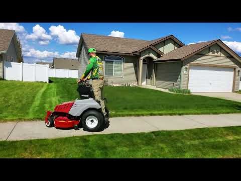 When the Teen Didn’t Show Up, I Took Over This Lawn!