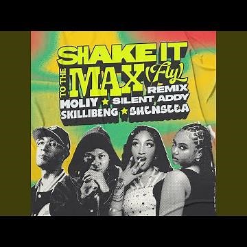 Shake It To The Max (FLY) (Remix)