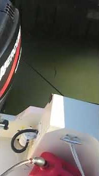 Cleaning Outboard Motor with Sea Foam