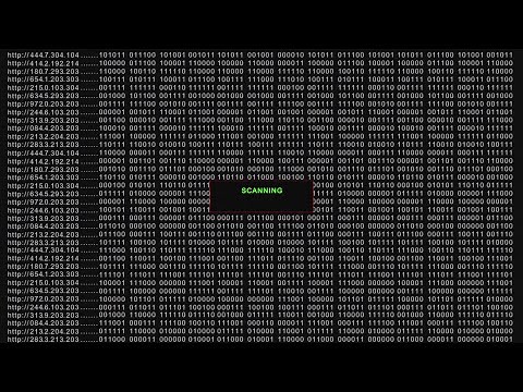 Website Hacker Screen White Version 4K